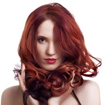 Best Hair Salon Bristol Forestville CT